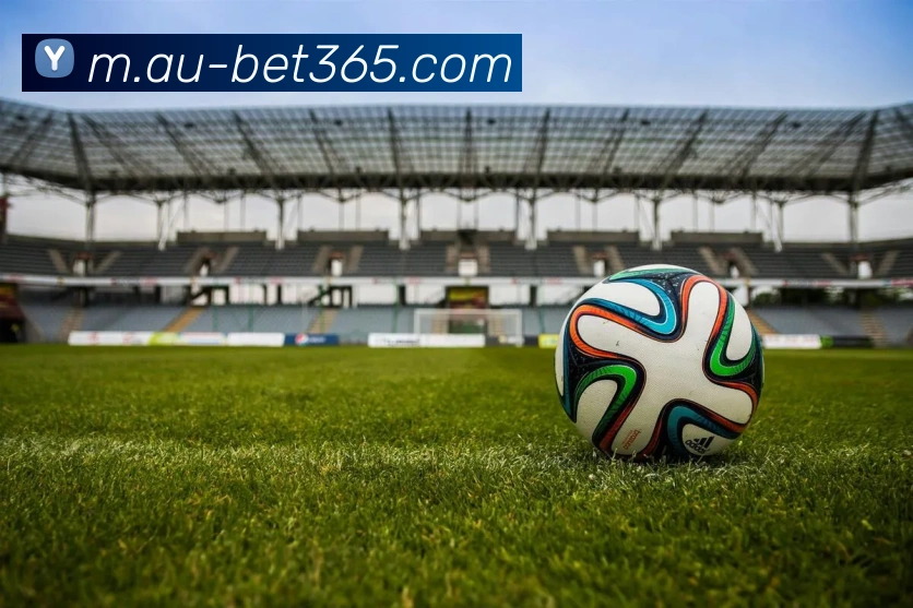 bet365平台生态图